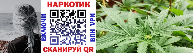 Купить закладку COCAIN  Меф мяу мяу  ГАШИШ  СК  Каннабис  Невель