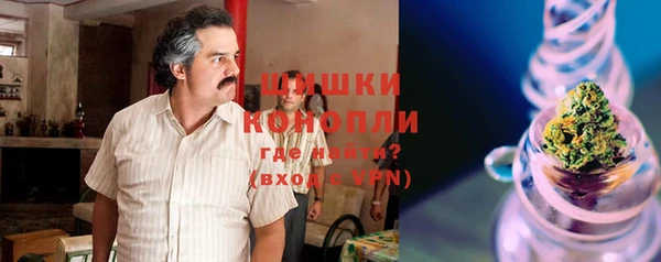спиды Краснослободск