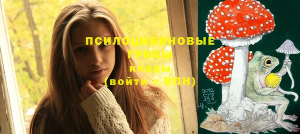 стаф Куйбышев