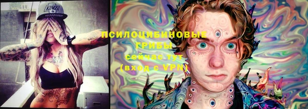спиды Краснослободск