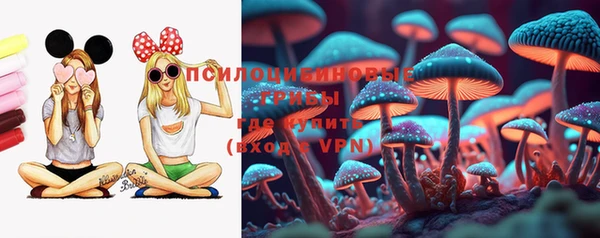спиды Краснослободск
