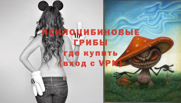 МДПВ Краснотурьинск