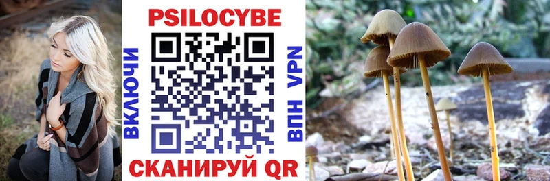 Купить  Невель  Псилоцибиновые грибы GOLDEN TEACHER 